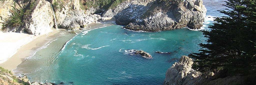 Trademark Litigator banner