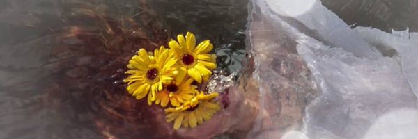 BlackstoneRngrs Profile Banner