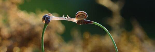 Flora_Amery's profile banner image