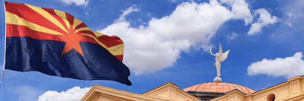 Anne4Arizona Profile Banner