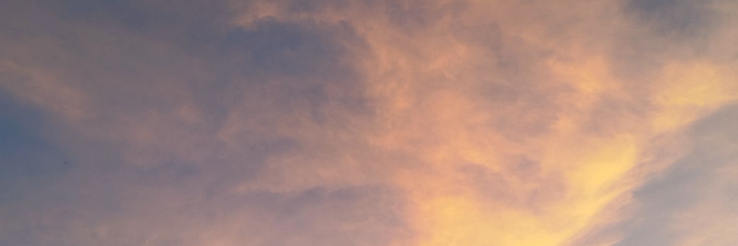 moonnroll_'s profile banner image