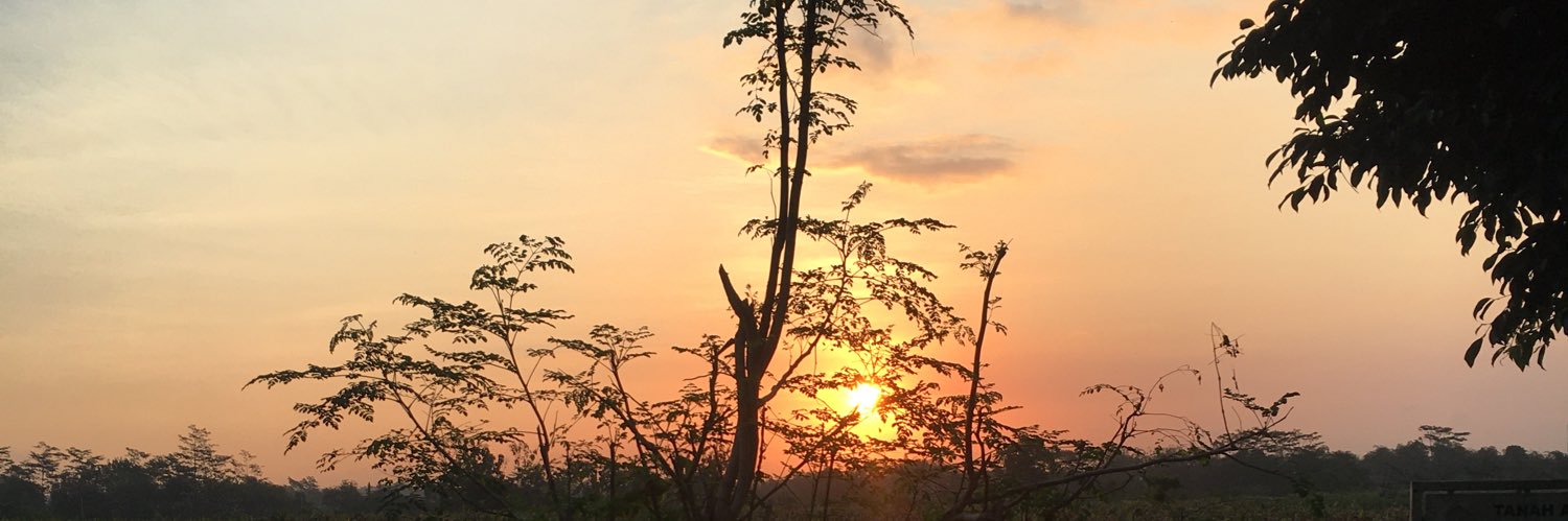 liaangg's profile banner image