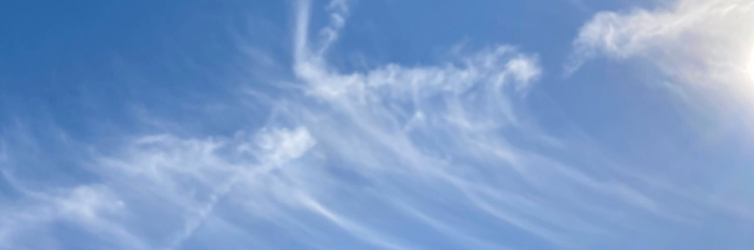 OK_Rurua's profile banner image