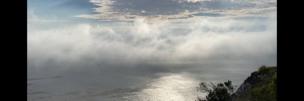 JonathanDownar Profile Banner