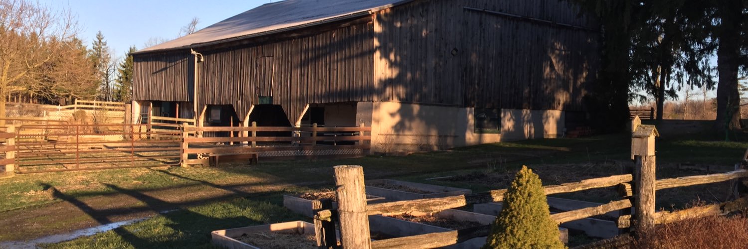 Patrick Deane banner