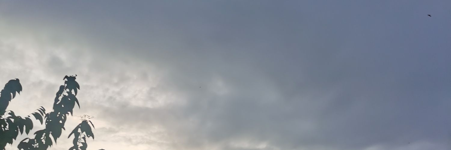 nuhaery's profile banner image