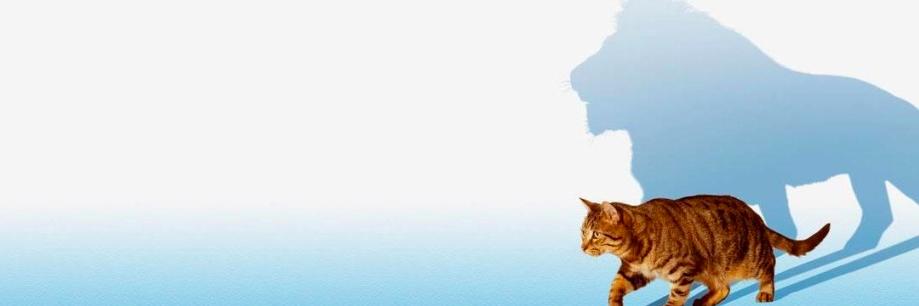 DoctorClu's profile banner image