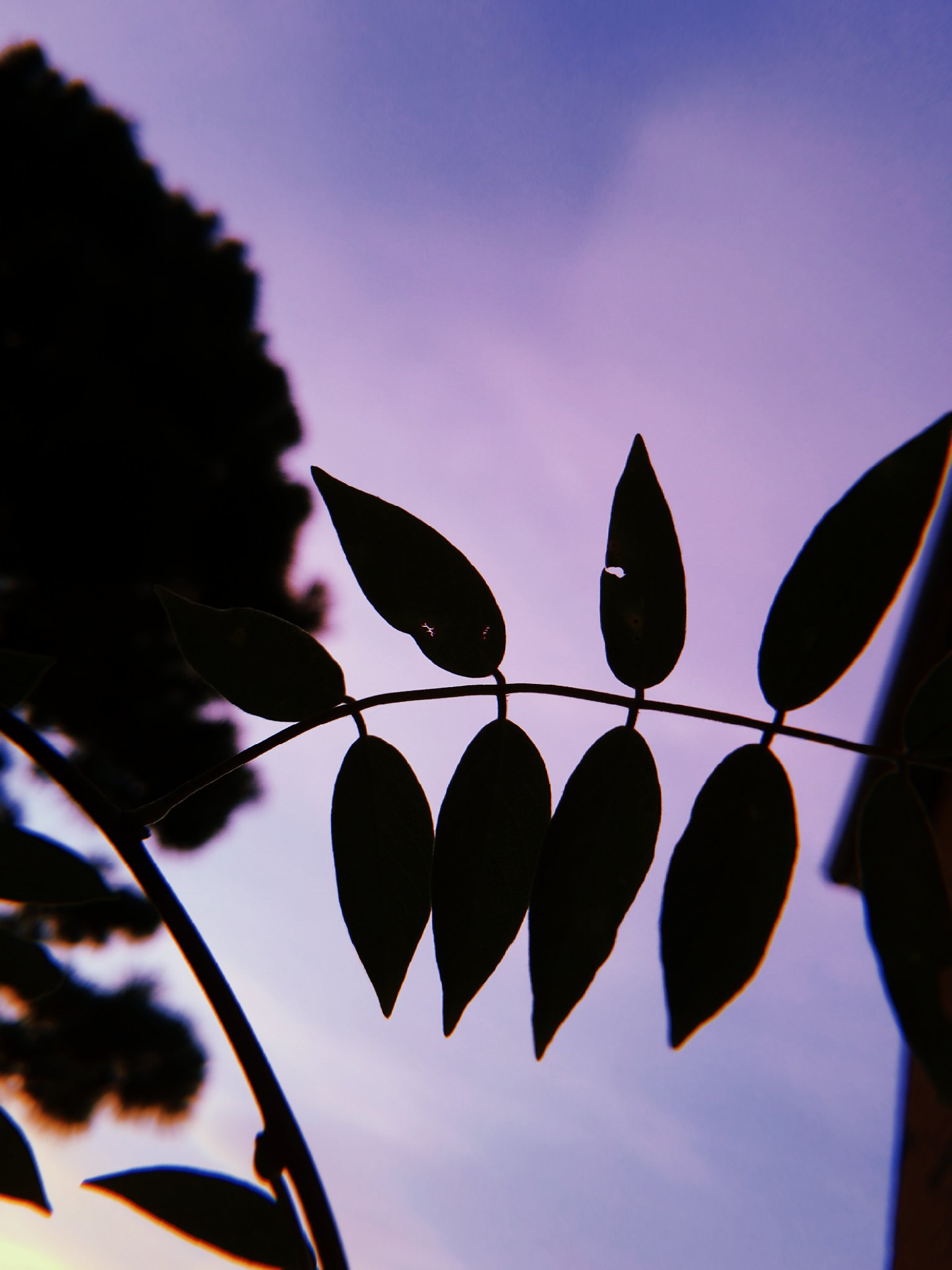 n0feels's profile banner image