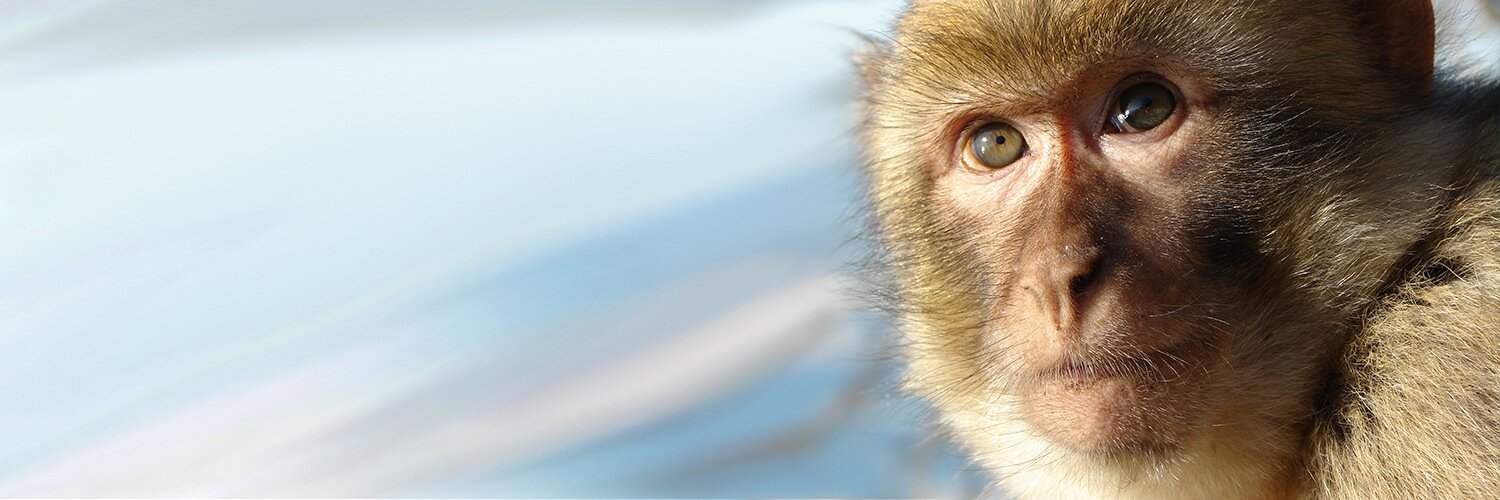 acres_sg's profile banner image