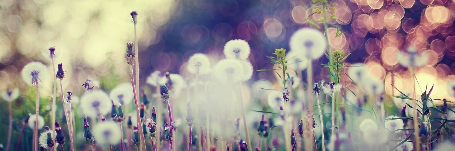 resplendency_'s profile banner image
