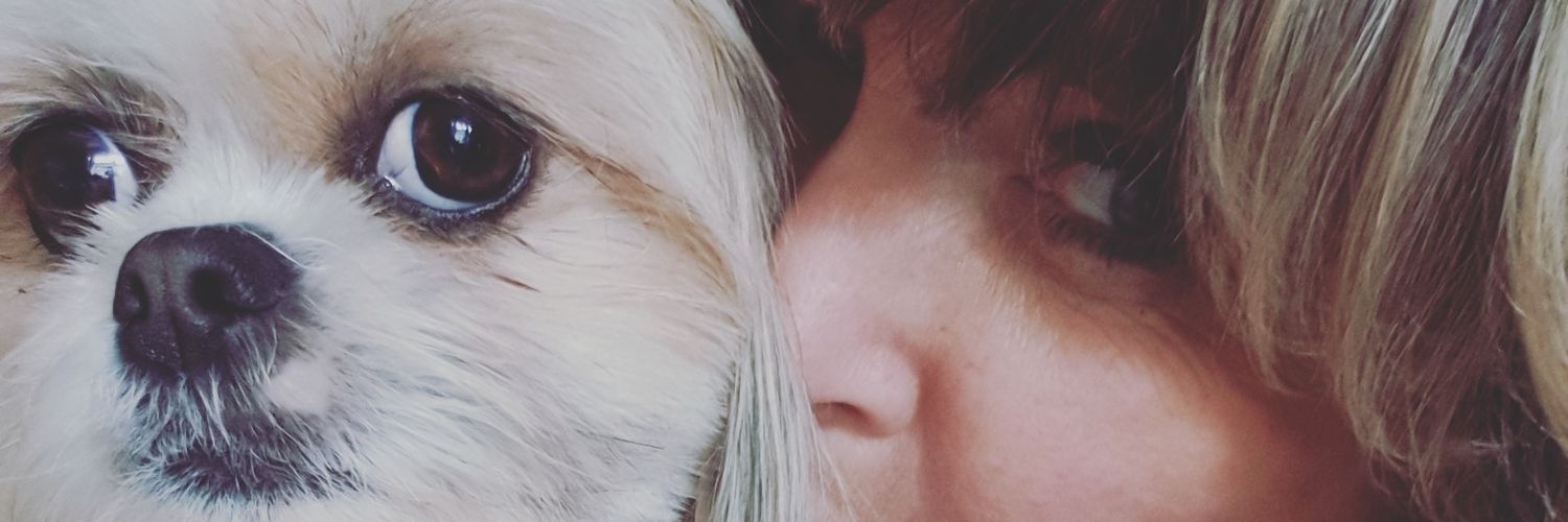lux3uu's profile banner image