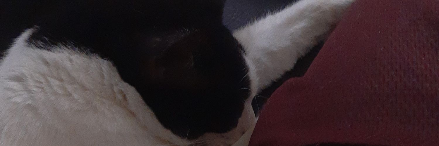 alejandro42_'s profile banner image