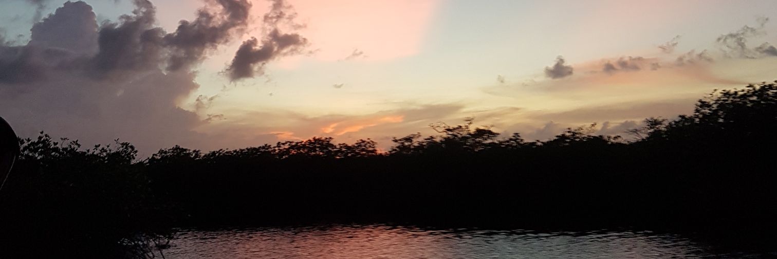 rozsuarez's profile banner image