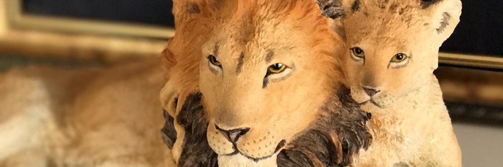 hhekimoglu's profile banner image