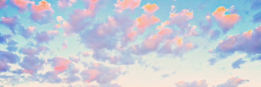 danichaum's profile banner image