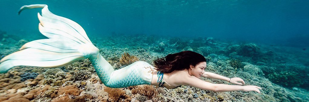 Karen Vendela banner