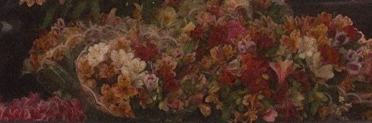 OHasanein's profile banner image