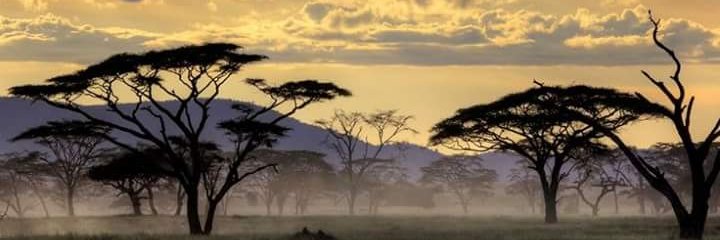 lorrdchiuri's profile banner image