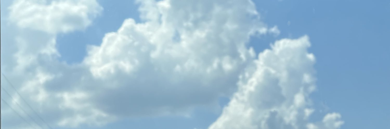 みー。 banner