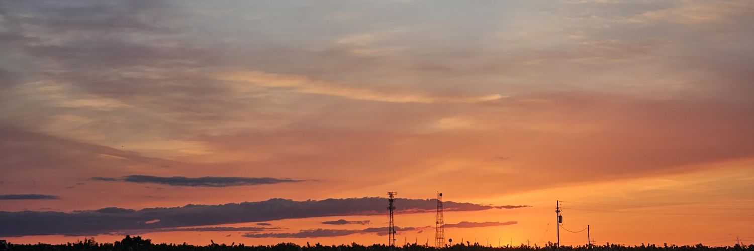 Brandon 🇺🇸 🇨🇭 banner