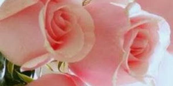 Debwi96150570's profile banner image