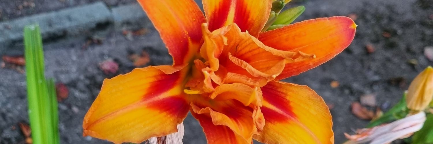 SoundBox Fundraising Events banner