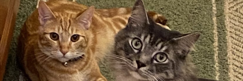 Stephawa913's profile banner image