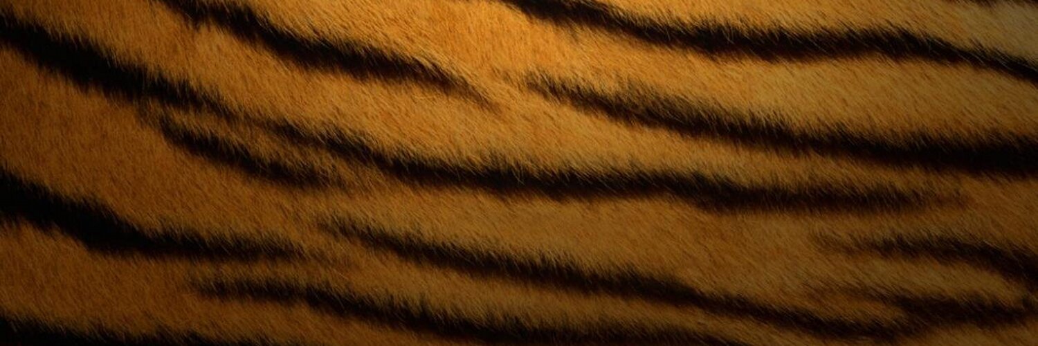 aadilrecky's profile banner image
