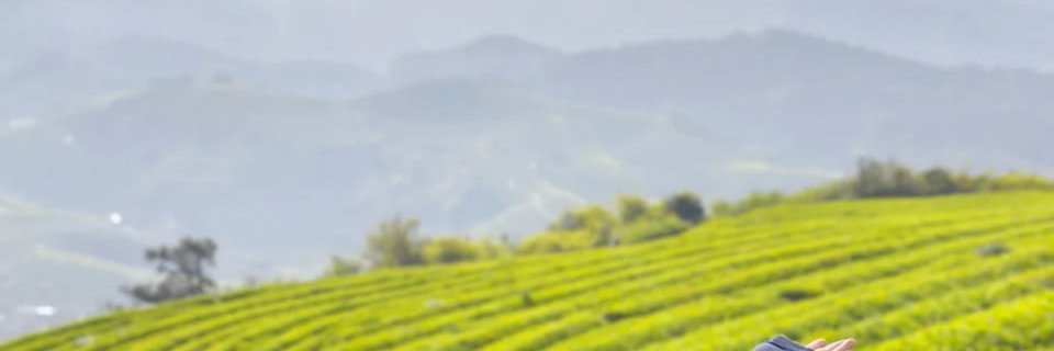 madodooon's profile banner image