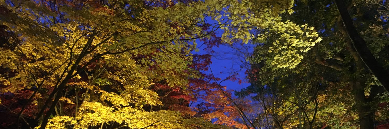 1024Ksk's profile banner image