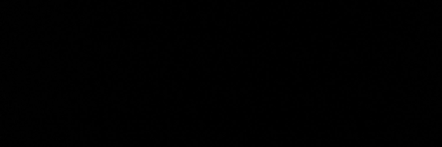 THE INVINCIBLE banner