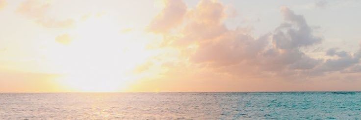 ch612981's profile banner image