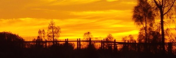 NeilFowler23 Profile Banner