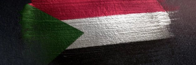 Mohamed Gasmelseed banner