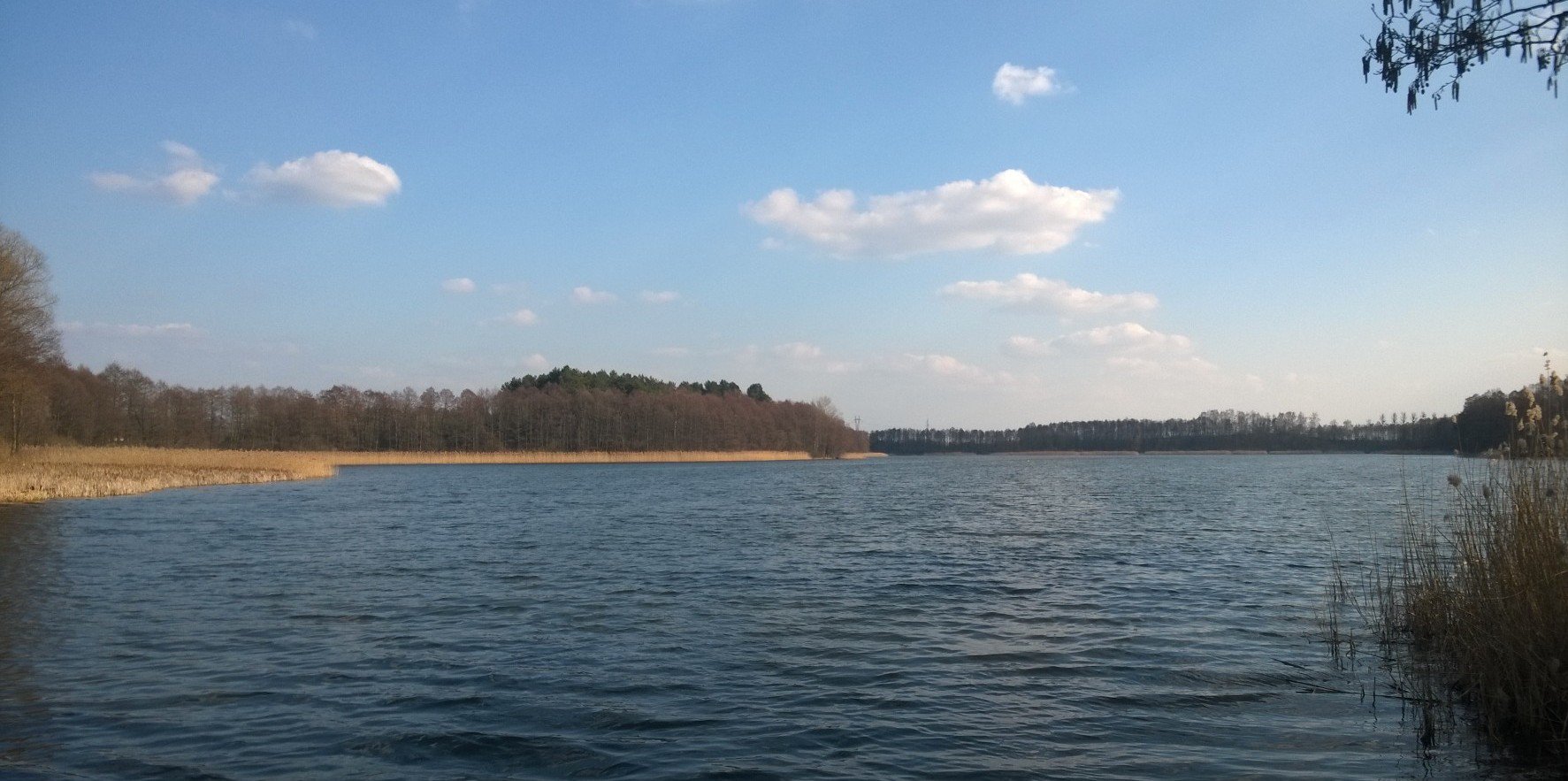 grzegorz dabrowski banner