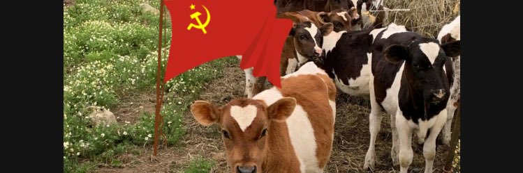 marximalcringe's profile banner image