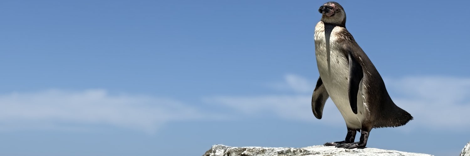 すみと🎸🎤 banner