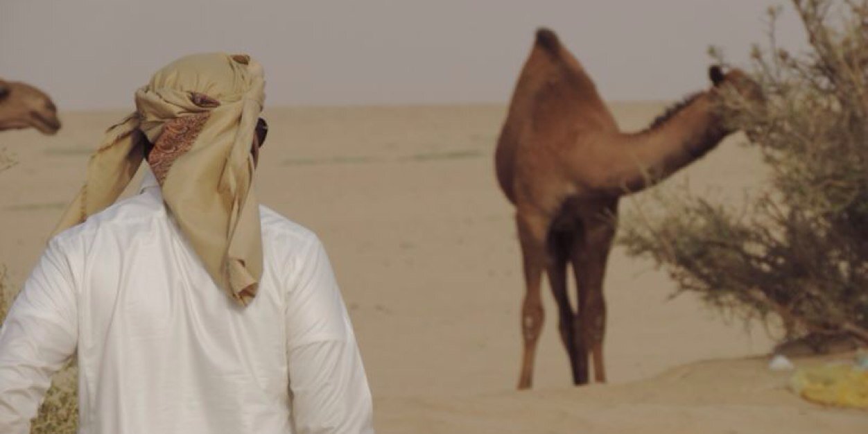 alssud_a's profile banner image