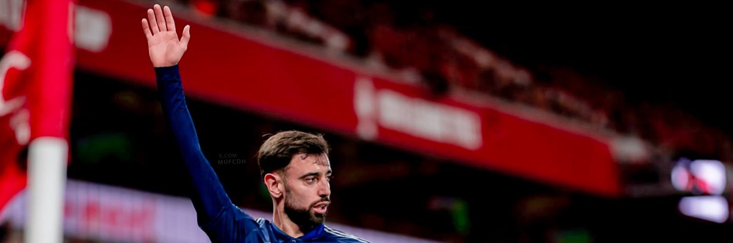 Pato banner
