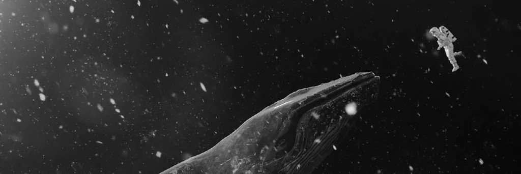 B_LOVEBB's profile banner image