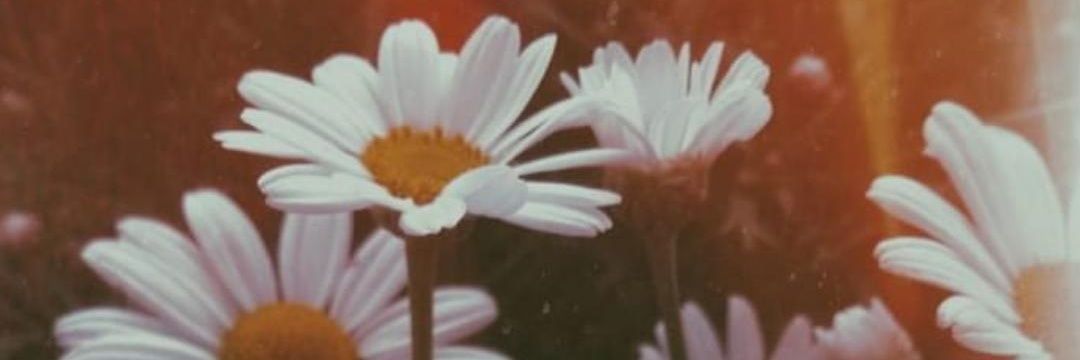 sopy_soffy's profile banner image