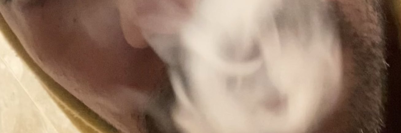 ElNegriDelSwing's profile banner image