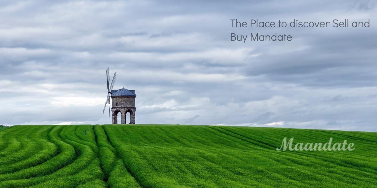 maandate's profile banner image
