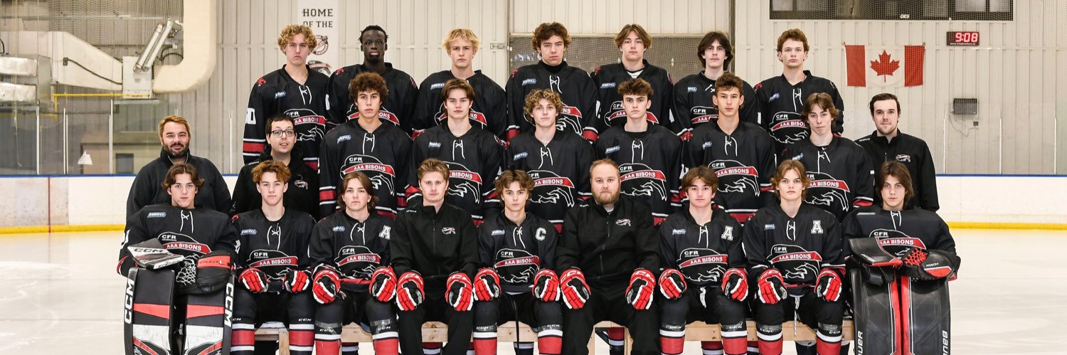 U18 AAA Bisons banner