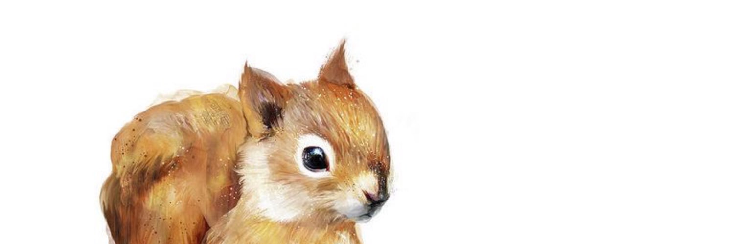 serarrynd's profile banner image