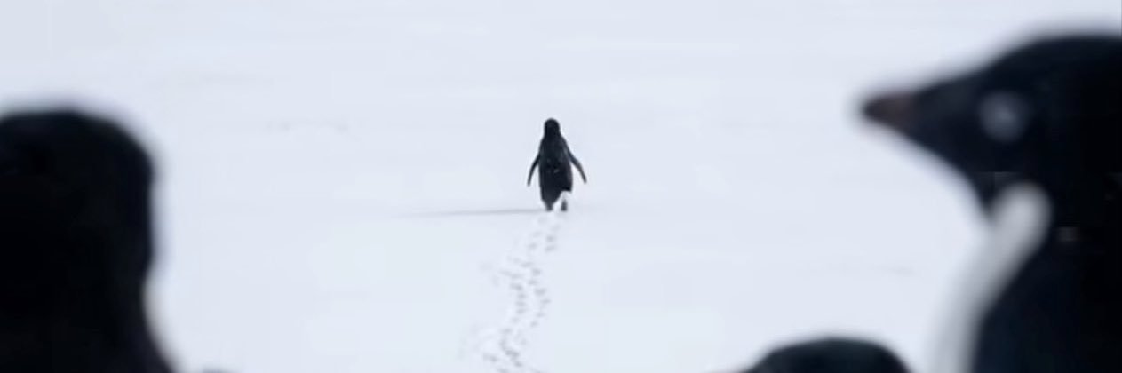 buraksaticii's profile banner image