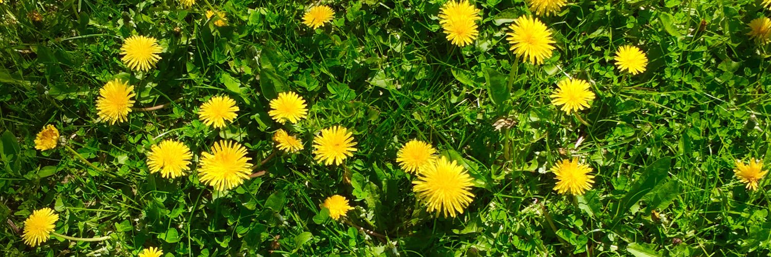 BienFaits Pour Nous banner