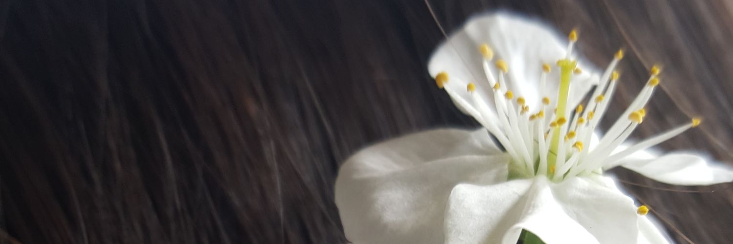JHope20609452's profile banner image