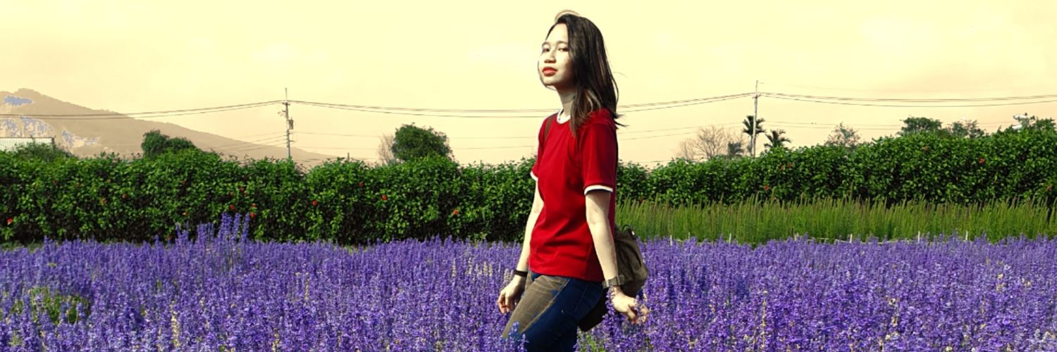 tinloreto's profile banner image