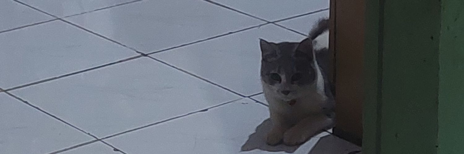 sizekecilll's profile banner image